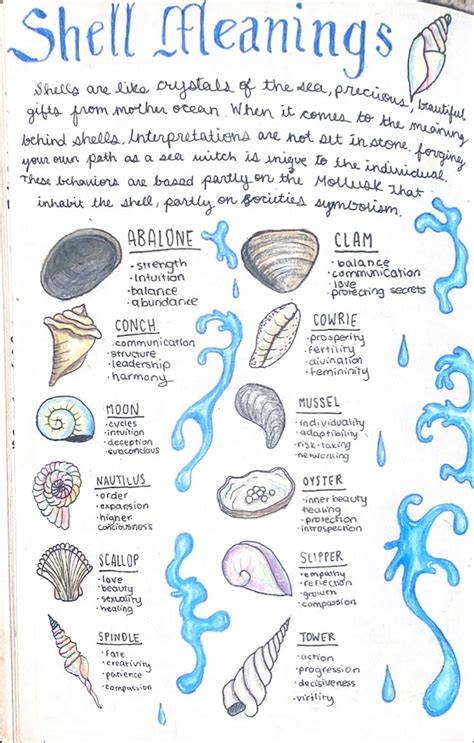 Shell Meaning .